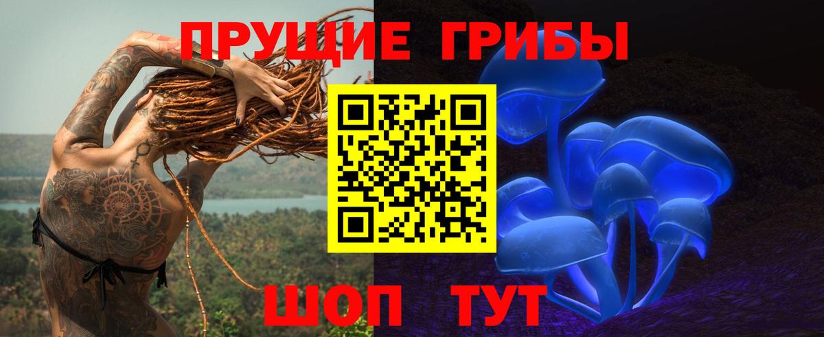 Псилоцибиновые грибы MAGIC MUSHROOMS  Галлюциногенные грибы Psilocybe  Полевской  Вход с VPN 